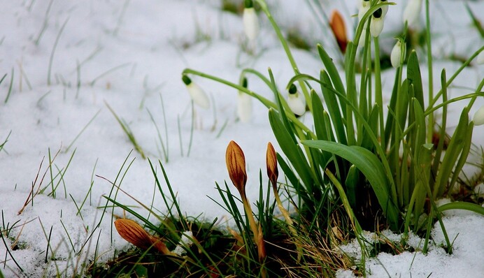 В Украину пришло потепление: карта и прогноз погоды на 9 февраля