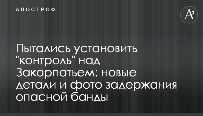 Намагалися встановити "контроль" над Закарпаттям: нові деталі і фото затримання небезпечної банди