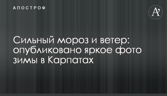 Сильний мороз і вітер: опубліковано яскраве фото зими в Карпатах