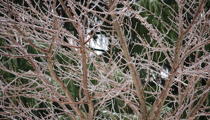 Украину накроют дожди и мокрый снег: синоптик рассказала о "сюрпризах"