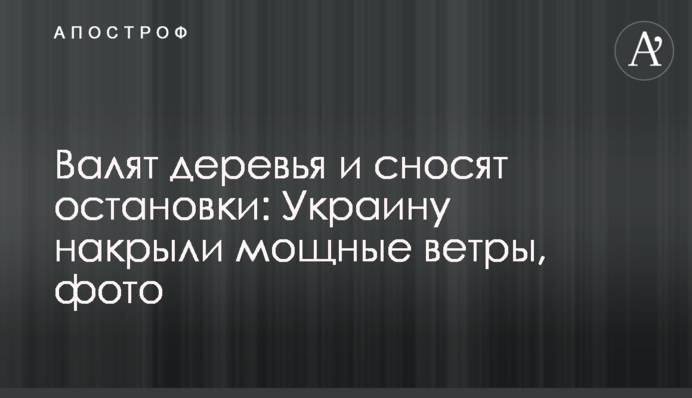 Валять дерева і зносять зупинки: Україну накрили потужні вітри, фото і відео