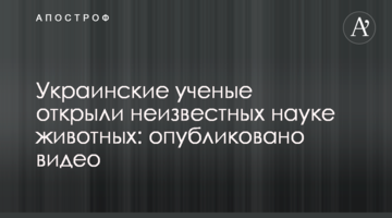 Українські вчені відкрили невідомих науці тварин: опубліковано відео