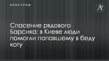 Порятунок рядового Барсика: в Києві люди допомогли коту, який потрапив у біду