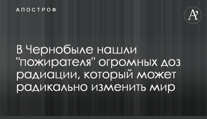 В Чернобыле нашли 