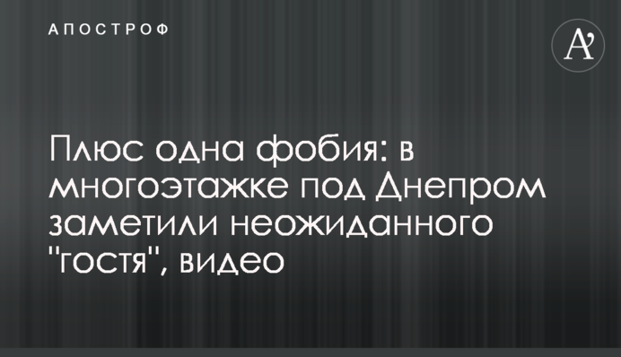Плюс одна фобия: в многоэтажке под Днепром заметили неожиданного 