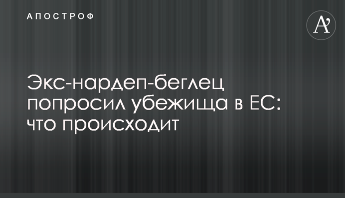 Экс-нардеп-беглец попросил убежища в ЕС: что происходит