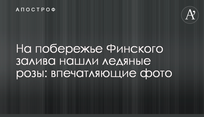 На узбережжі Фінської затоки знайшли крижані троянди: вражаючі фото