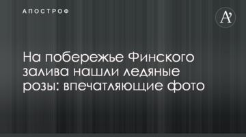 На узбережжі Фінської затоки знайшли крижані троянди: вражаючі фото