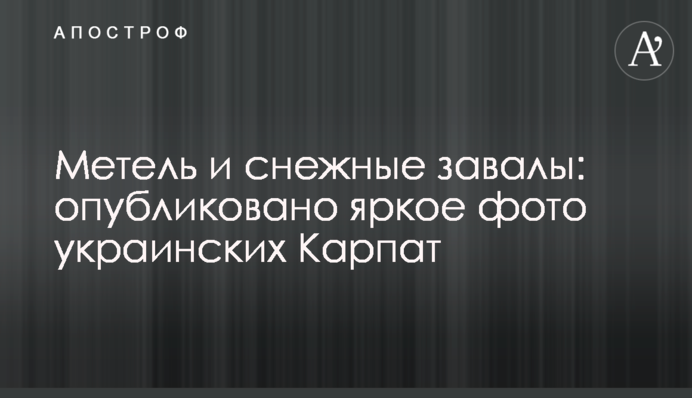 Метель и снежные завалы: опубликовано яркое фото украинских Карпат