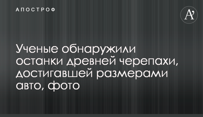 Ученые обнаружили останки древней черепахи, достигавшей размерами авто, фото