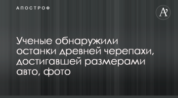 Вчені виявили рештки давньої черепахи, що досягала розмірами авто, фото