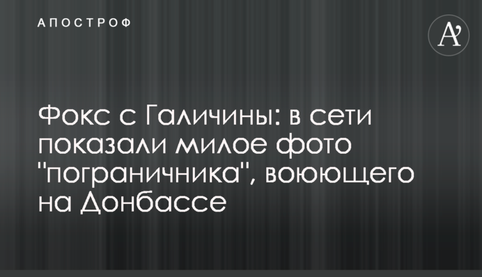 Фокс з Галичини: в мережі показали миле фото 