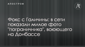 Фокс с Галичины: в сети показали милое фото "пограничника", воюющего на Донбассе