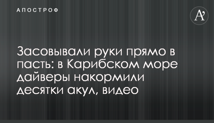 Засовували руки прямо в пащу: в Карибському морі дайвери нагодували десятки акул, відео