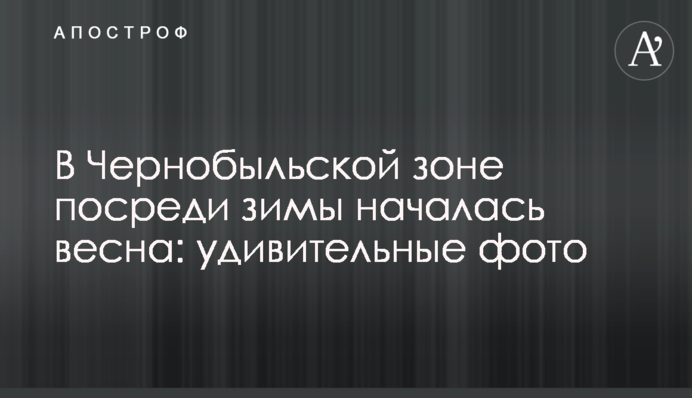 В Чернобыльской зоне посреди зимы началась весна: удивительные фото