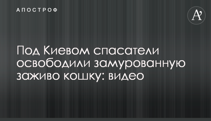 Под Киевом спасатели освободили замурованную заживо кошку: видео