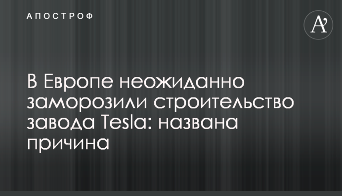 В Європі несподівано заморозили будівництво заводу Tesla: названо причину