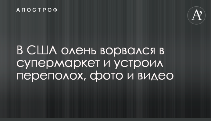 У США олень увірвався в супермаркет і влаштував переполох, фото і відео
