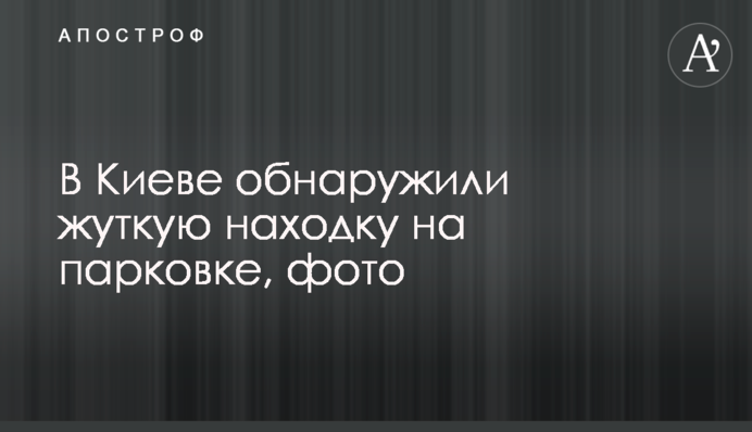 У Києві виявили страшну знахідку на парковці, фото