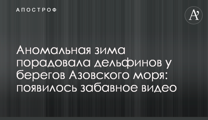 Аномальная зима порадовала дельфинов у берегов Азовского моря: появилось забавное видео