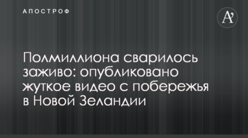 Полмиллиона сварилось заживо: опубликовано жуткое видео с побережья в Новой Зеландии