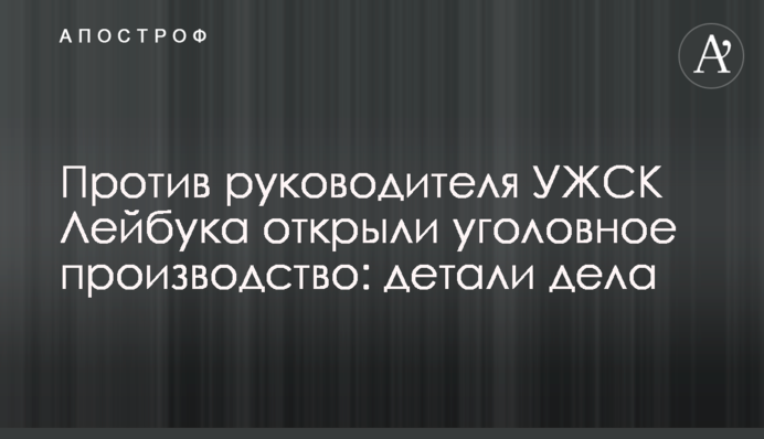 Против руководителя УЖСК Лейбука открыли уголовное производство: детали дела