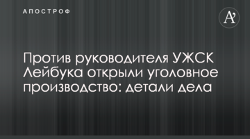 Против руководителя УЖСК Лейбука открыли уголовное производство: детали дела