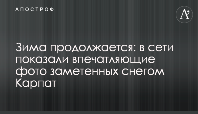 Зима продолжается: в сети показали впечатляющие фото заметенных снегом Карпат