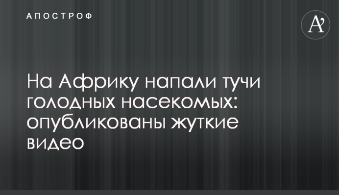 На Африку напали тучи голодных насекомых: опубликованы жуткие видео