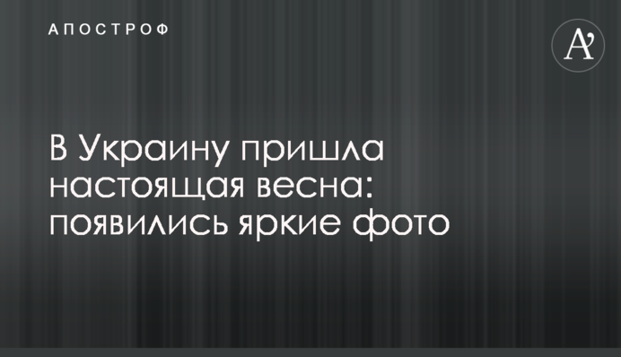 В Україну прийшла справжня весна: з'явилися яскраві фото