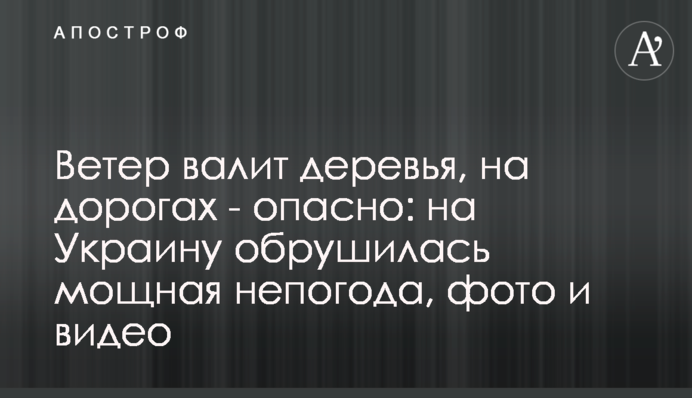 Ветер валит деревья, на дорогах - опасно: на Украину обрушилась мощная непогода, фото и видео