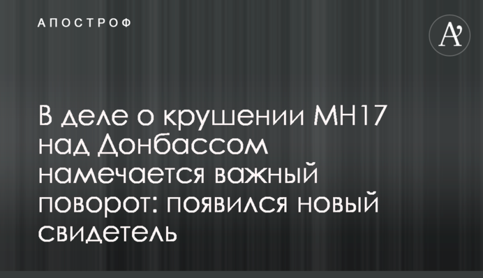 В деле о крушении MH17 над Донбассом намечается важный поворот: появился новый свидетель