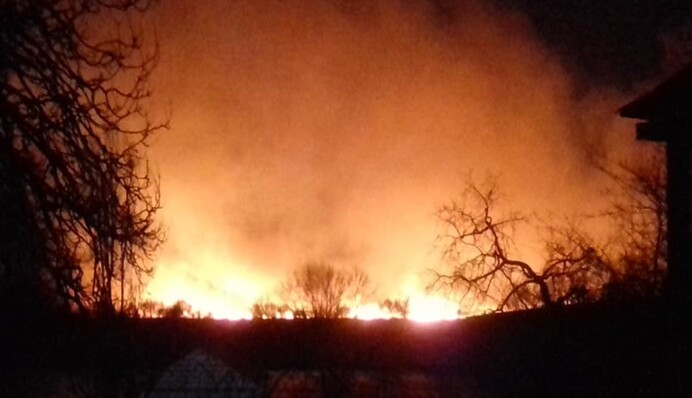 Заповедник превратился в ад: под Одессой вспыхнул мощный пожар в парке, фото и видео
