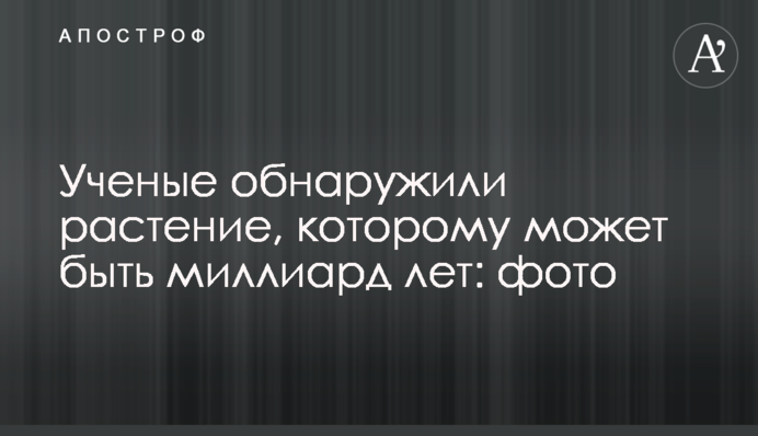 Вчені виявили рослину, якій може бути мільярд років: фото