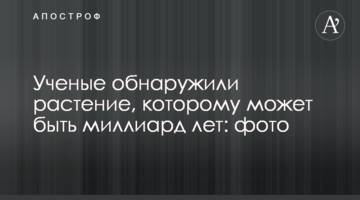 Вчені виявили рослину, якій може бути мільярд років: фото
