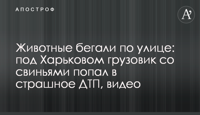 Тварини бігали по вулиці: під Харковом вантажівка зі свинями потрапила у страшну ДТП, відео