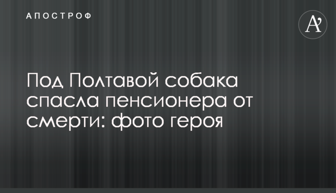 Под Полтавой собака спасла пенсионера от смерти: фото героя