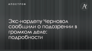 Экс-нардепу Черновол сообщили о подозрении в громком деле: подробности