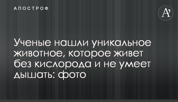 Ученые нашли уникальное животное, которое живет без кислорода и не умеет дышать: фото