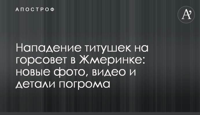 Нападение титушек на горсовет в Жмеринке: новые фото, видео и детали погрома