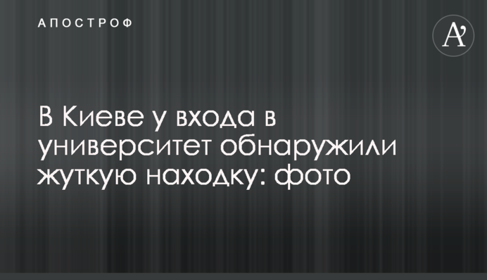 В Киеве у входа в университет обнаружили  жуткую находку: фото