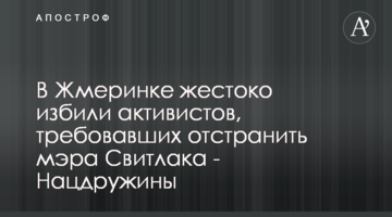 В Жмеринке жестоко избили активистов, требовавших отстранить мэра Свитлака - Нацдружины