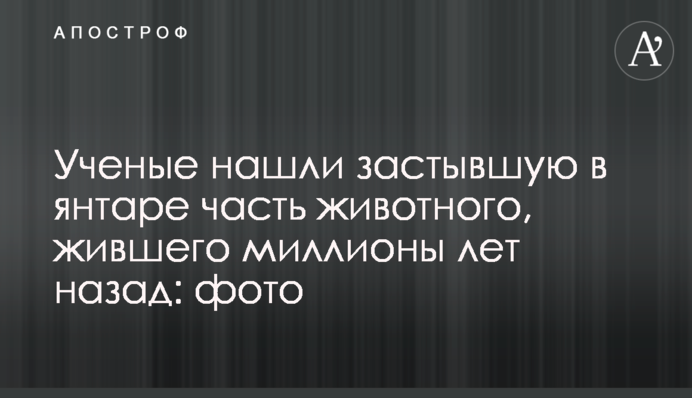 Вчені знайшли застиглу в бурштині частину тварини, що жила мільйони років тому: фото