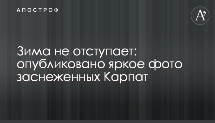 Зима не відступає: опубліковано яскраве фото засніжених Карпат