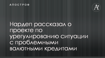 Нардеп рассказал о проекте по урегулированию ситуации с проблемными валютными кредитами