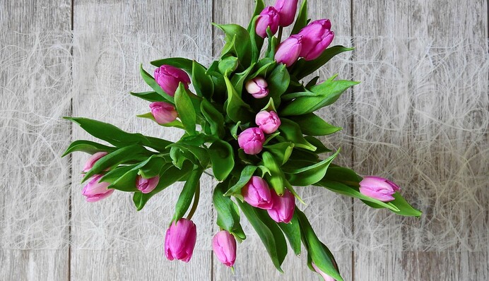 Поздравления с 8 Марта 2020: красивые стихи и яркие открытки