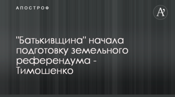 "Батьківщина" розпочала підготовку земельного референдуму - Тимошенко
