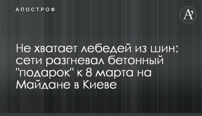 Бракує лебедів з шин: мережі розгнівав бетонний 