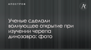 Вчені зробили бентежне відкриття при вивченні черепа динозавра: фото