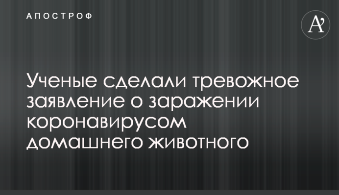 Вчені зробили тривожну заяву про ураження коронавірусом домашньої тварини